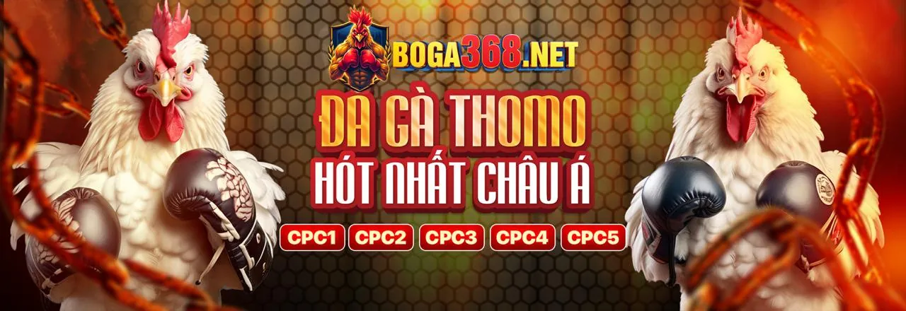 Hình ảnh minh họa chính sách cookie của sumvip5 nhà cái, thể hiện sự minh bạch về việc sử dụng cookie để nâng cao trải nghiệm người dùng.